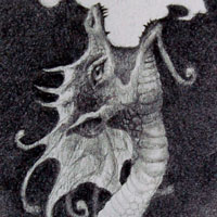 A close-up of the head