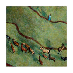 from above a herd of horses trails through the grass by meandering paths